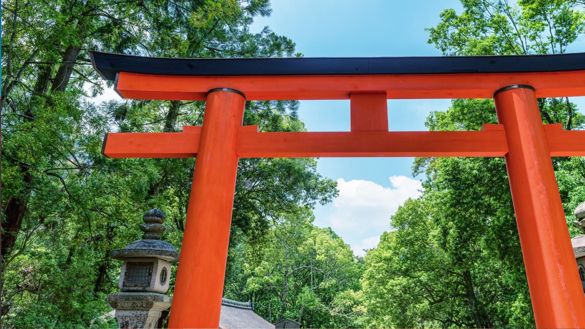 春日大社について｜歴史や概要を詳しく解説